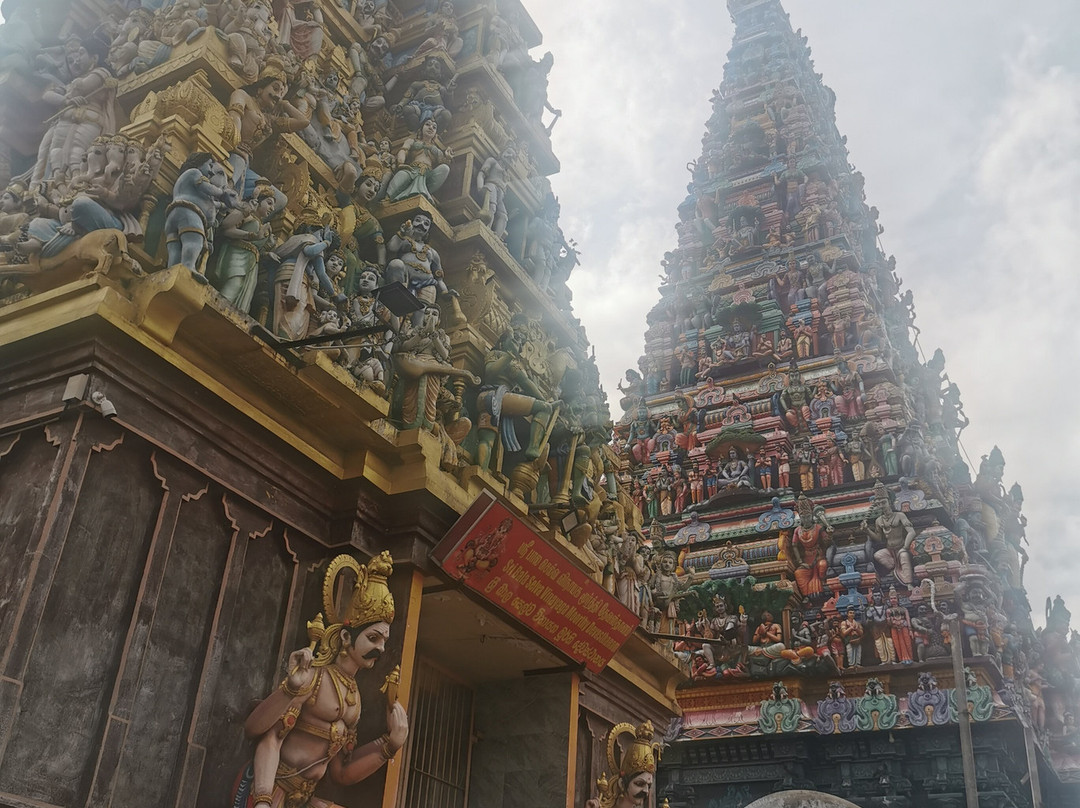 Tours and Transportation in Sri Lanka-康提必去景点