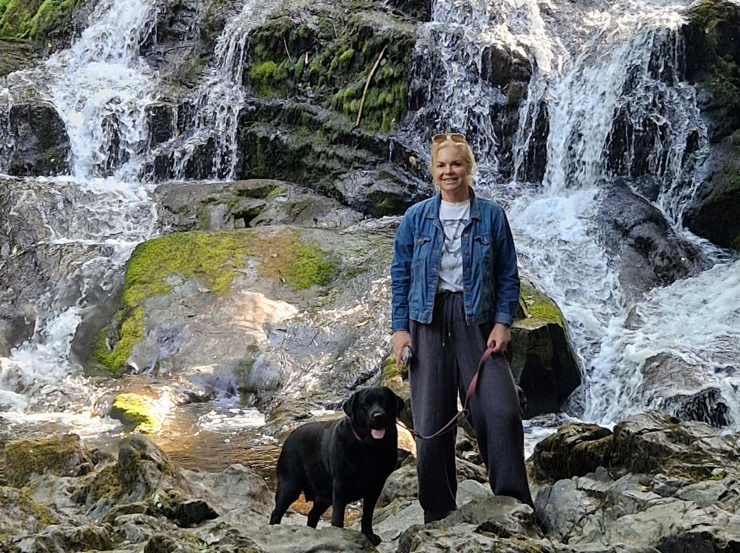 Fairy Falls Hotel主图