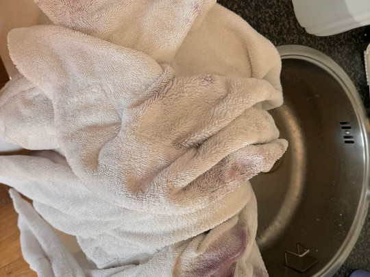 Wellness Helmond-Helmond必去景点