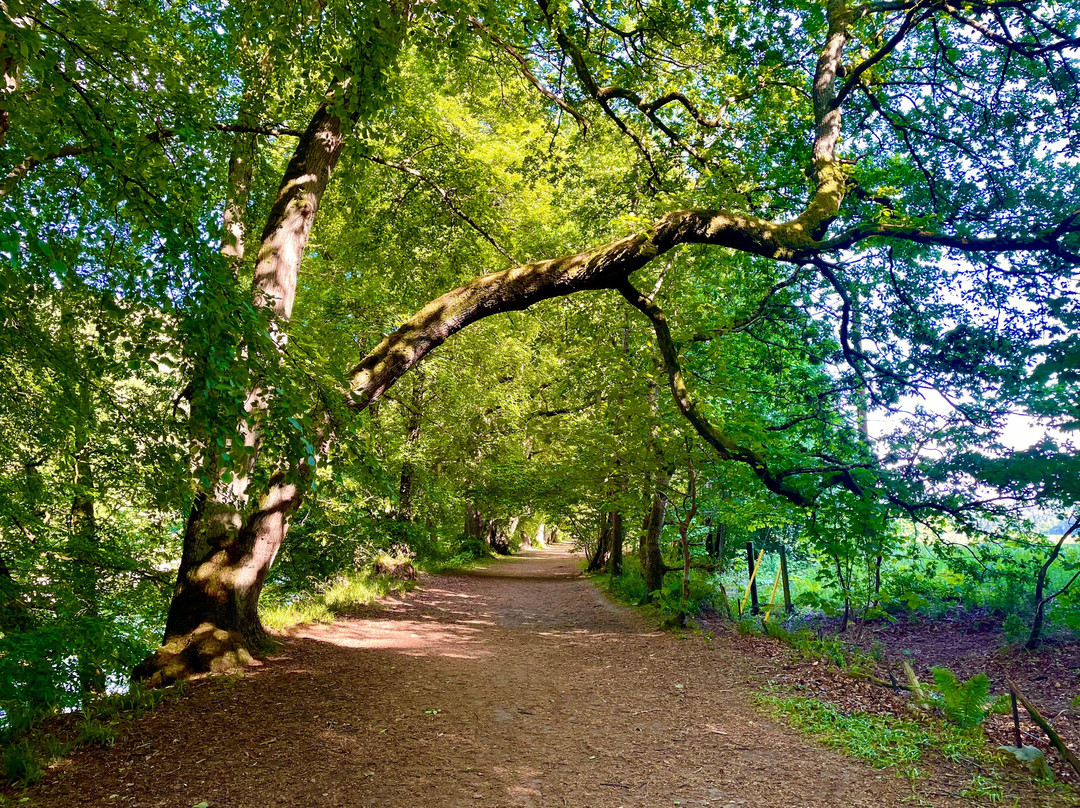 Birnam Oak-Dunkeld必去景点
