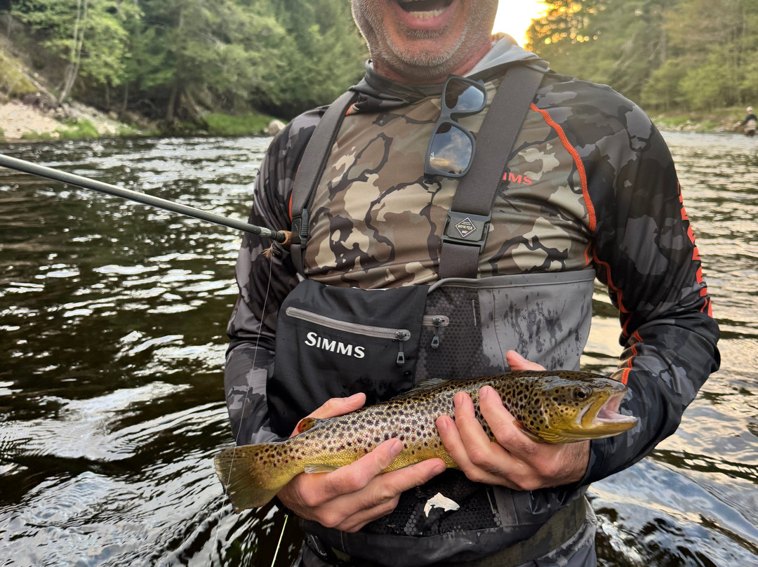 The Hungry Trout Resort主图