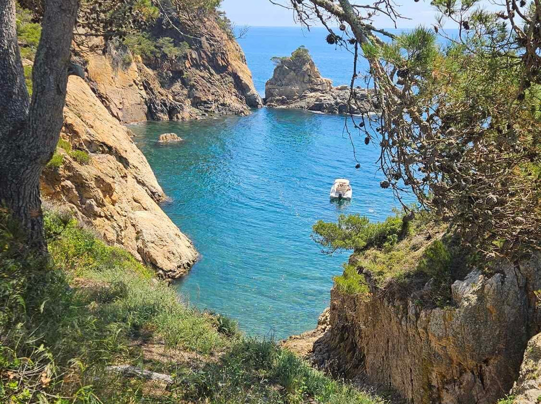 Creative Catalonia - Bike Holidays Girona Spain景点图片