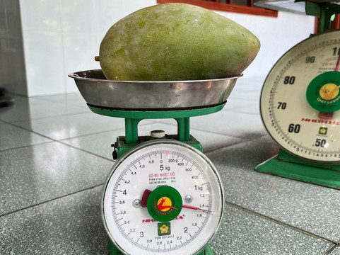 Zazen Travel-芽庄必去景点