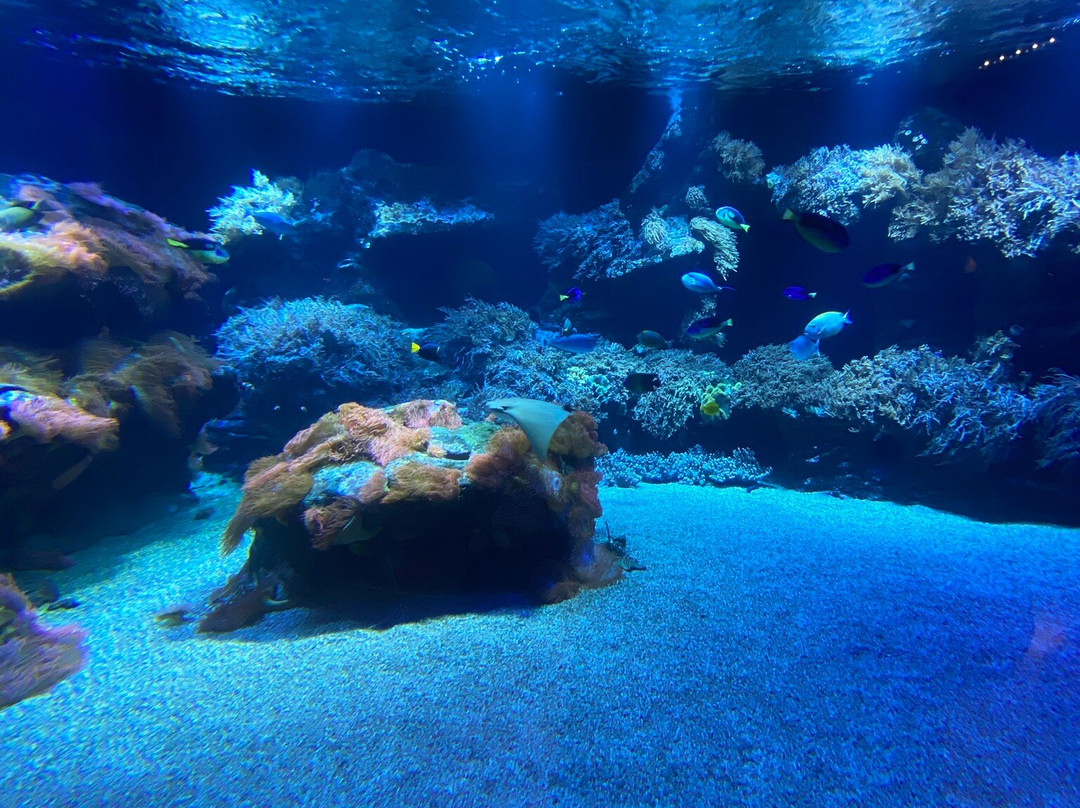 Aquazoo Loebbecke Museum-杜塞尔多夫必去景点