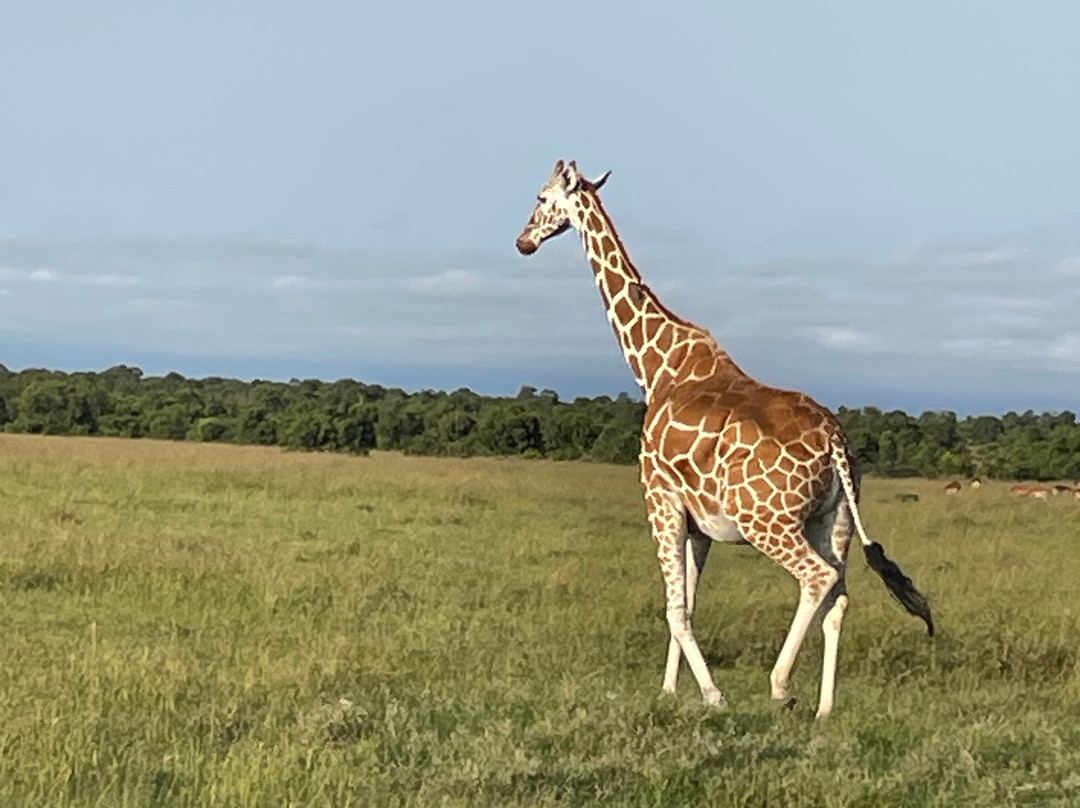 Sailepu Safari Adventures-南由基必去景点
