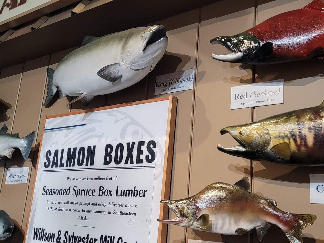 Alaska Waters-Wrangell必去景点