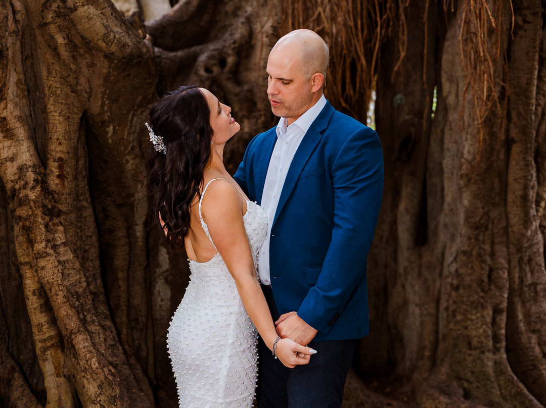 Downtown-圣彼德斯堡必去景点