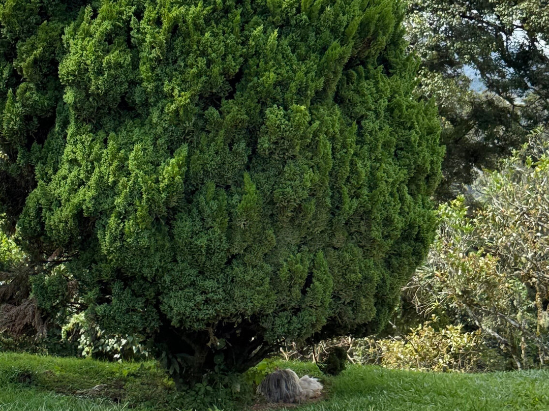 金马仑高原德拉菲儿斯酒店主图