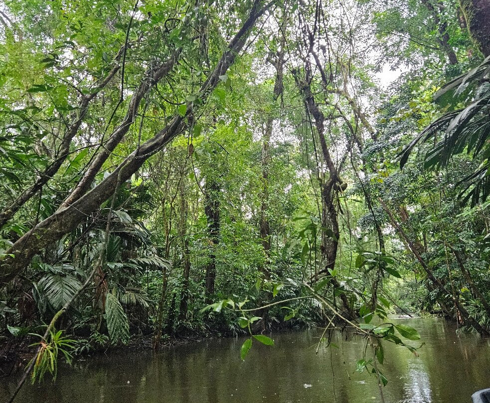 Best of Costa Rica DMC景点图片