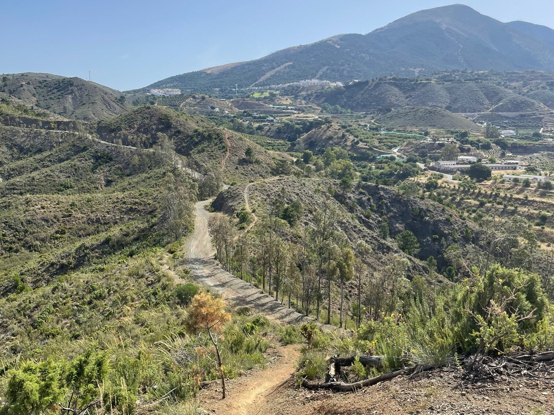 ToroTrail-马拉加必去景点