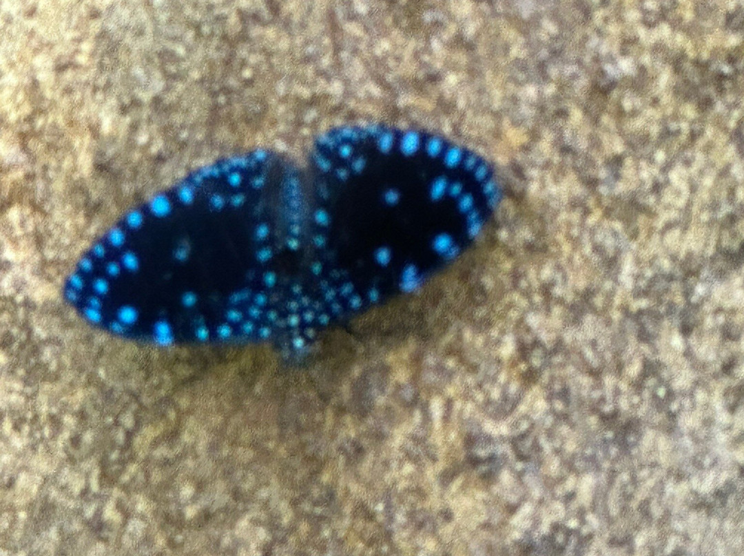 Arenal Oasis Wildlife Refuge-福德圣卡洛斯必去景点