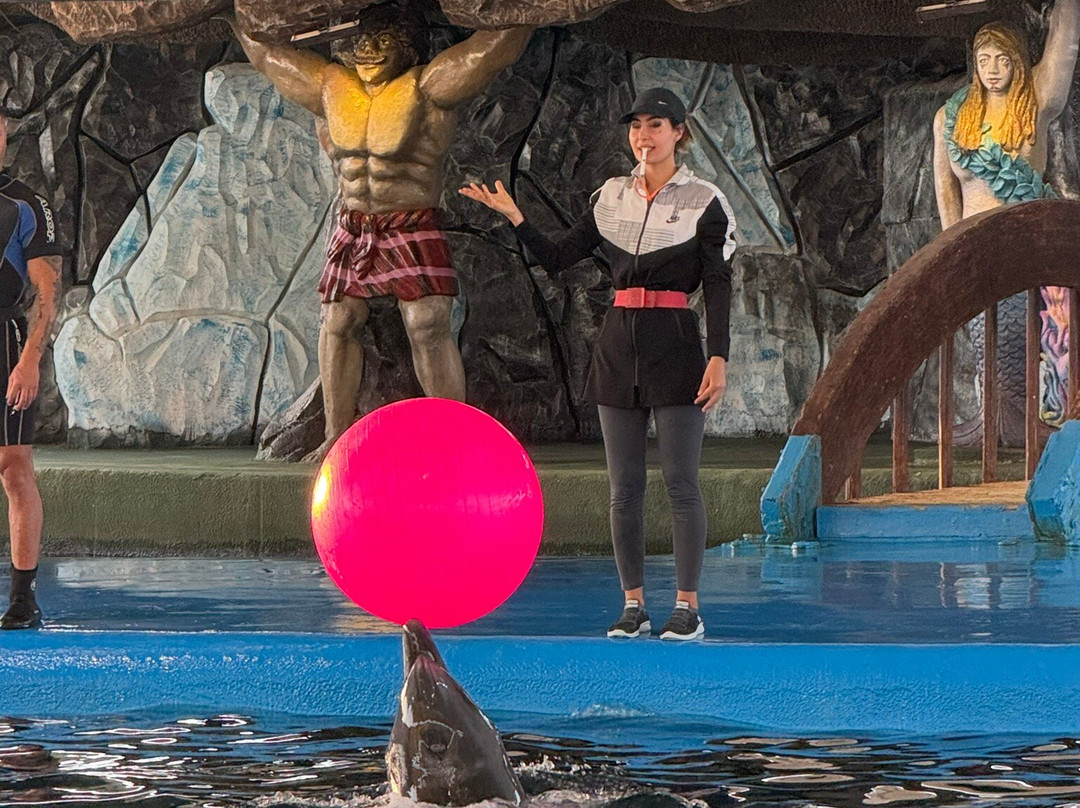 Kish Dolphin Park景点图片