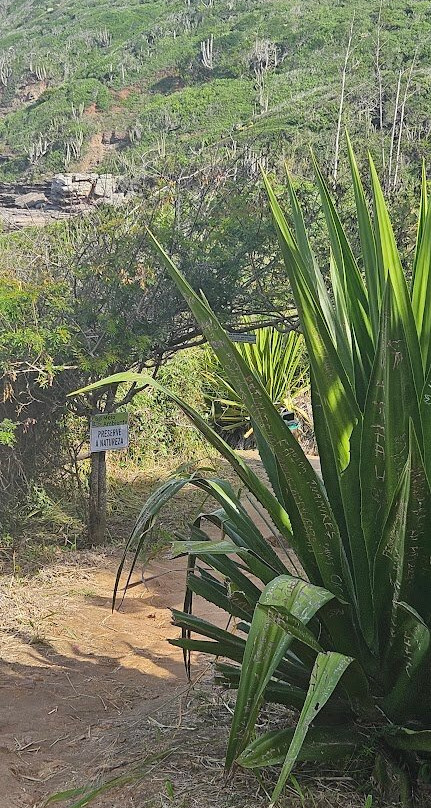 Mirante do Forno-布基亚斯必去景点