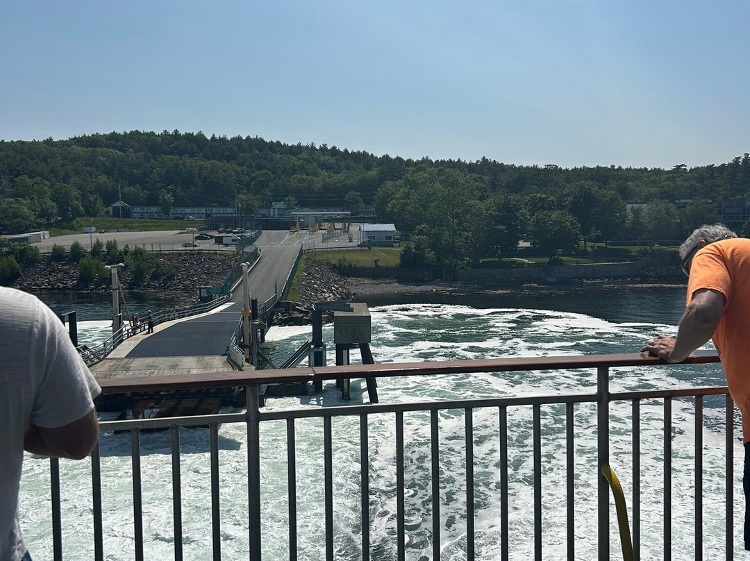 The CAT Ferry-巴港必去景点