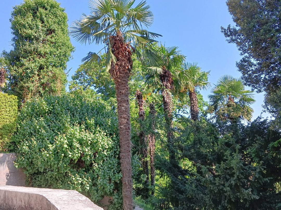 Southern Cultures Park-艾德勒必去景点