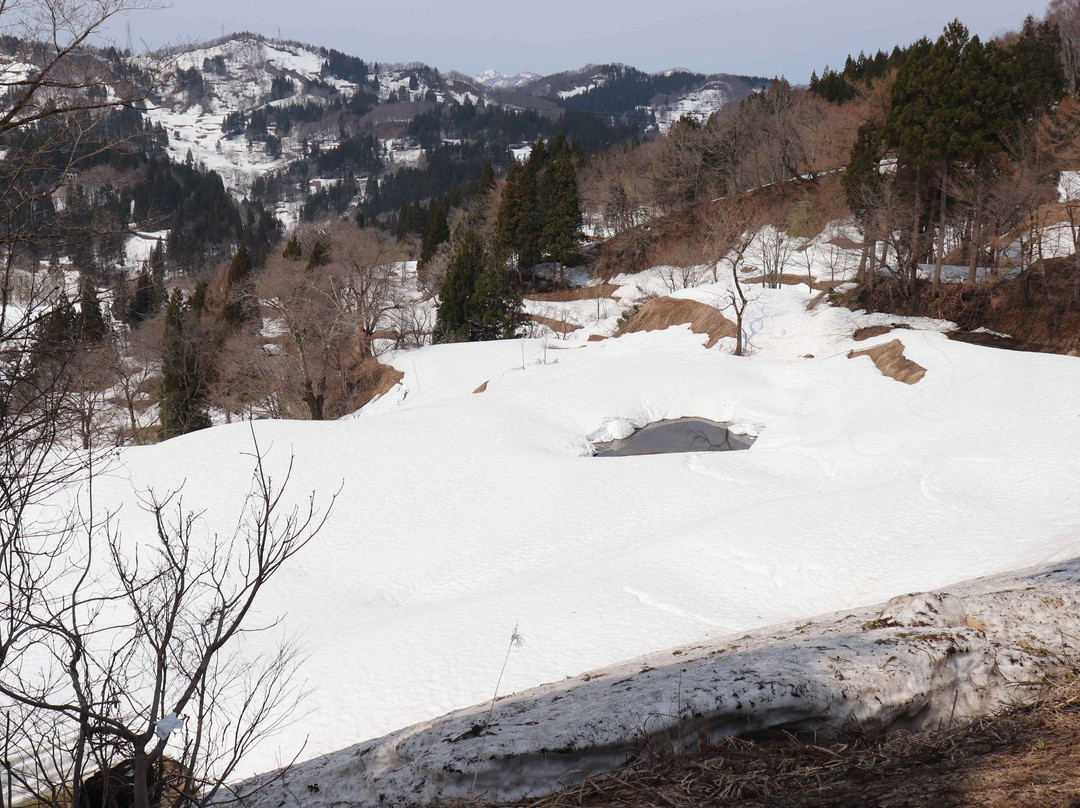 Gimyo Rice Terrace-十日町市必去景点