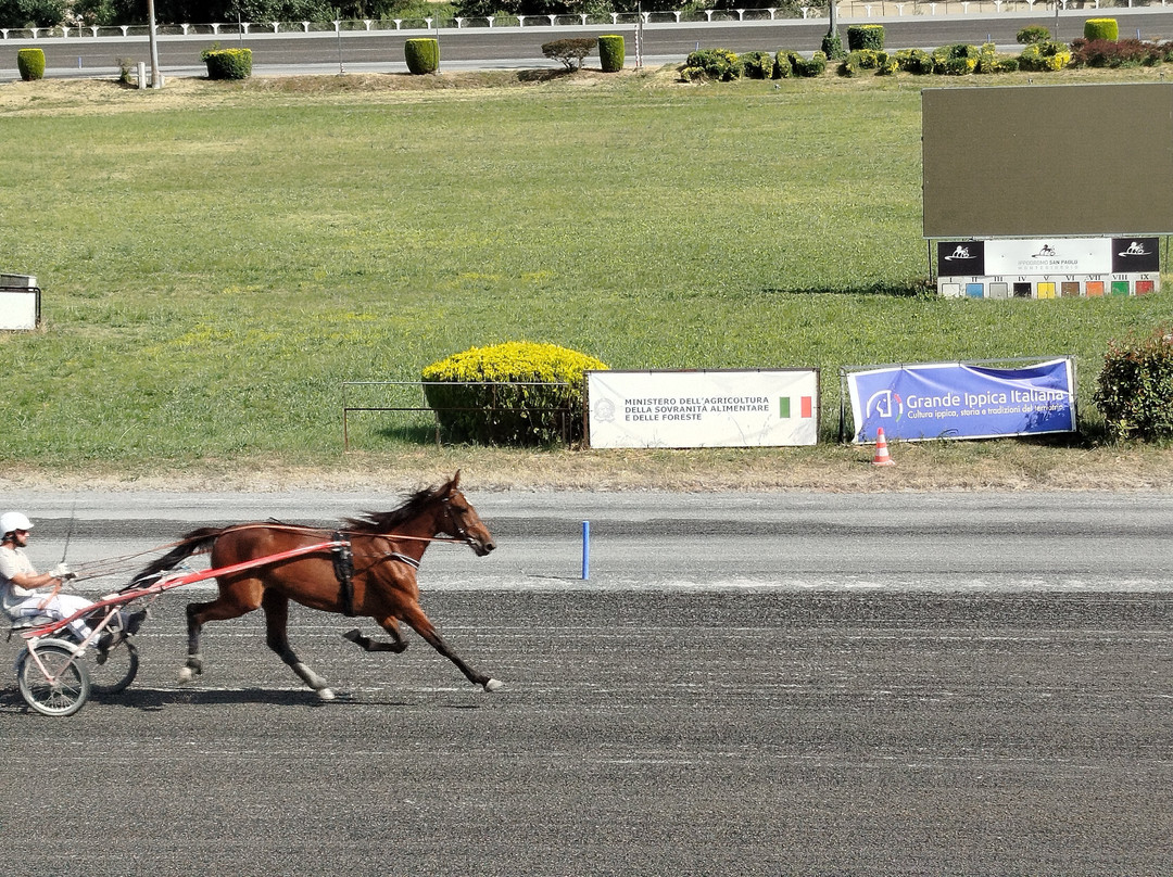 Ippodromo San Paolo-Montegiorgio必去景点