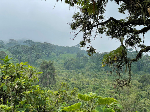 Nature Trails East Africa-恩德培必去景点