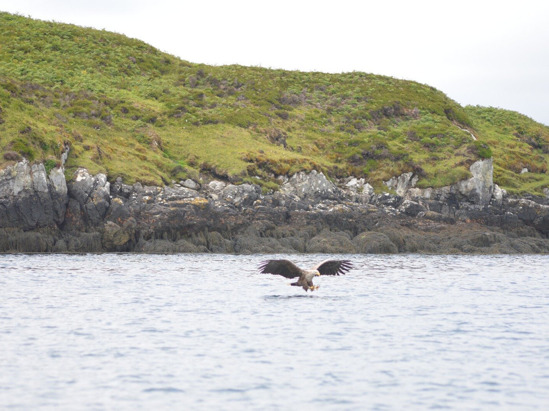 Lady Anne Wildlife Cruises景点图片