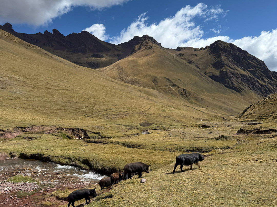 Inca Quest Adventures-库斯科必去景点