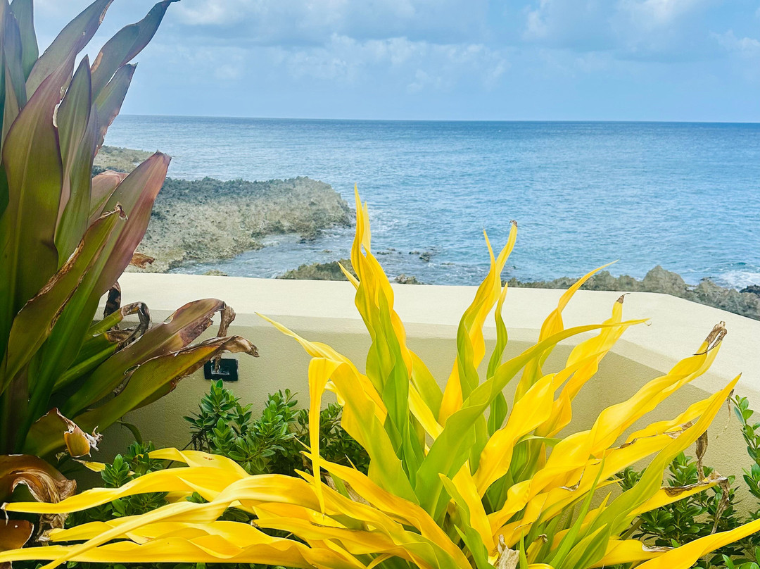 Living The Dream Divers-七哩滩必去景点