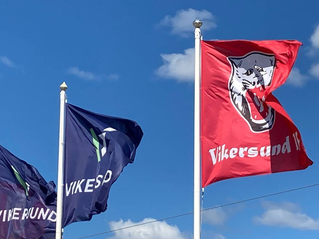 Vikersund Ski Jumping Center-Vikersund必去景点