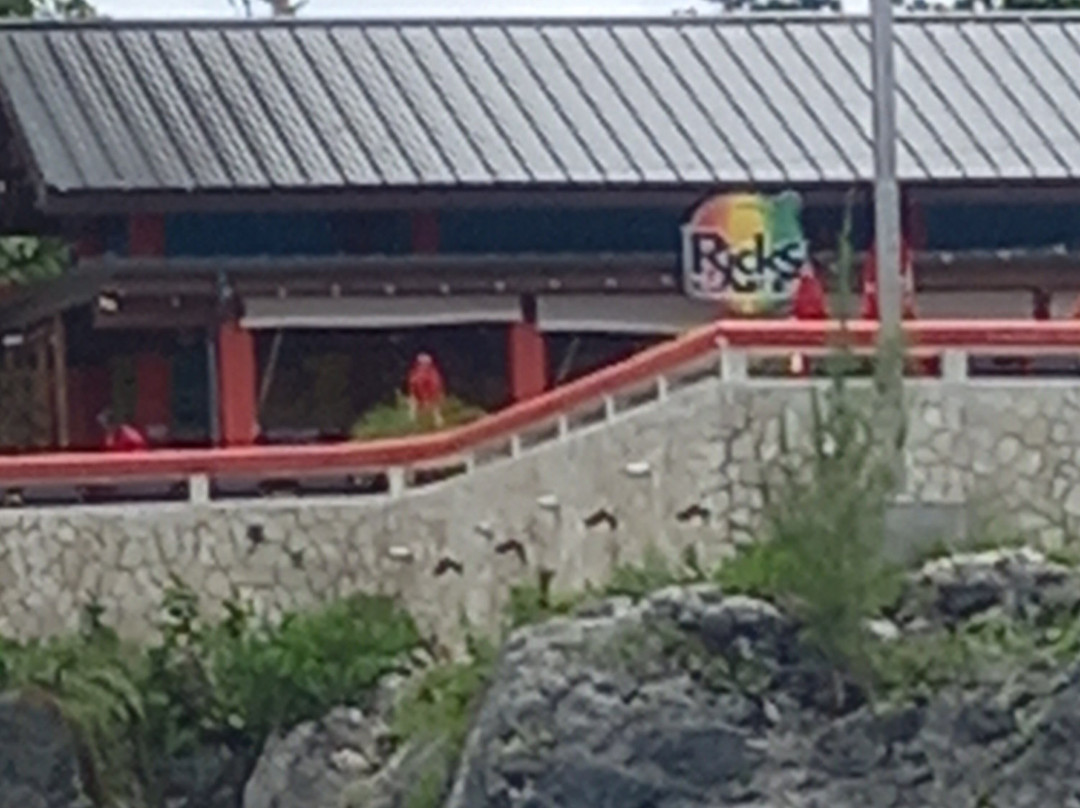 ScubaCaribe - Negril-内格里尔必去景点