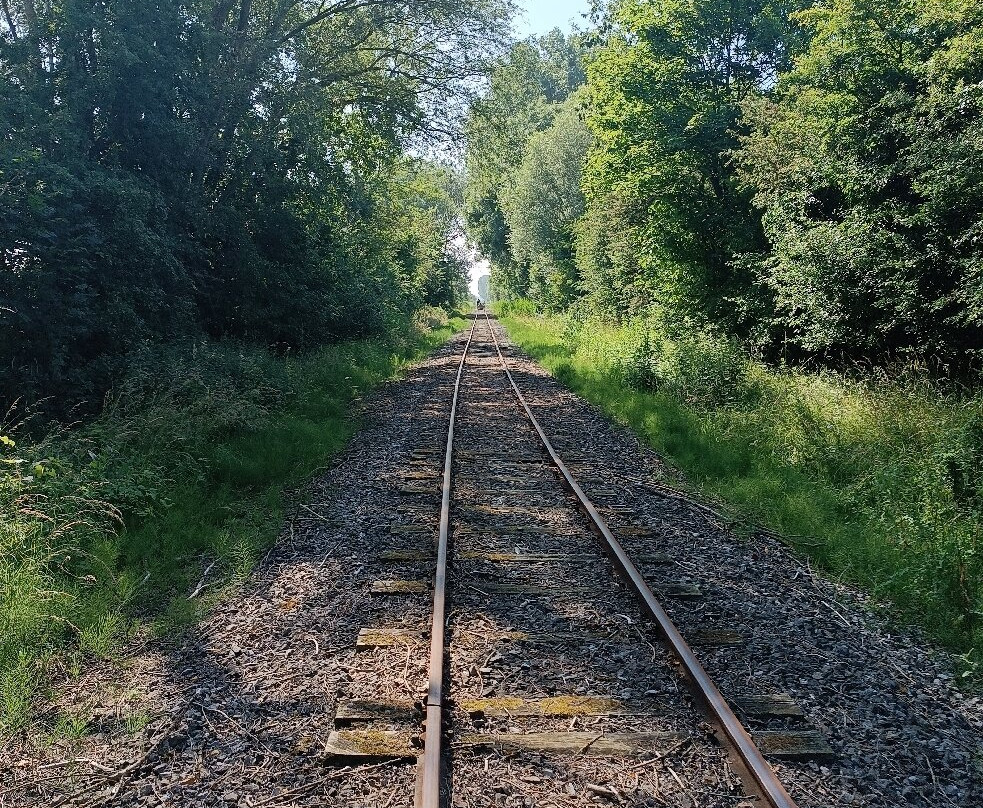 Vélorail de la Baie de Somme