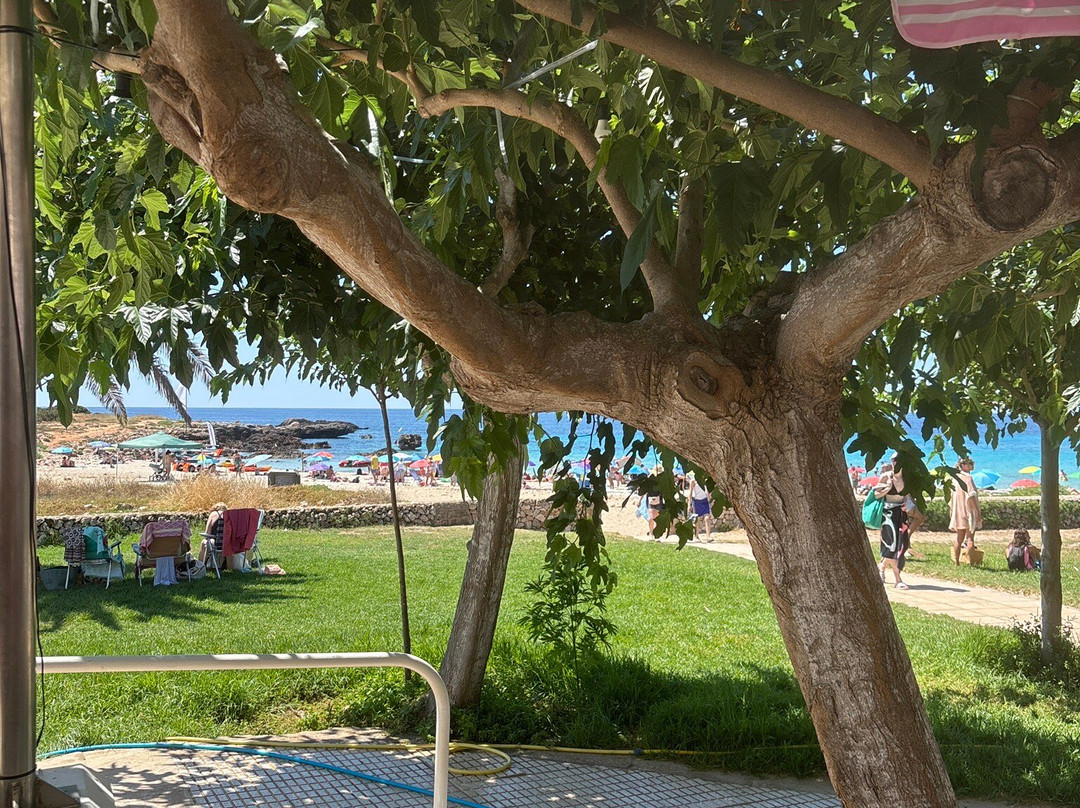 Platja de Son Xoriguer-卡兰博希必去景点