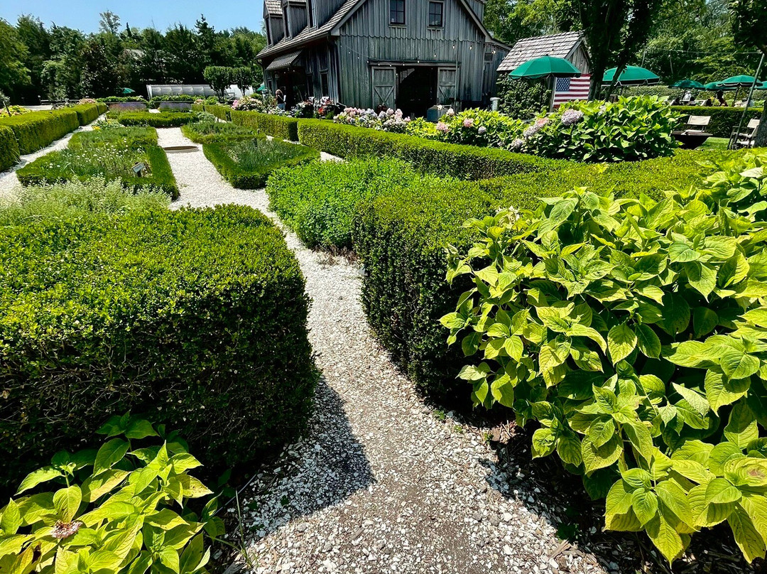 Beach Plum Farm-West Cape May必去景点