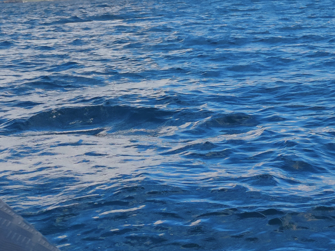 Bantry Bay Boat Hire-Bantry必去景点