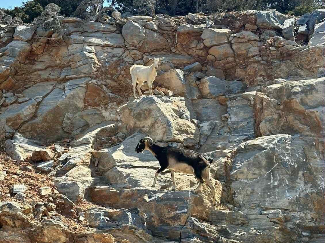 Buru Boat-Panermos必去景点