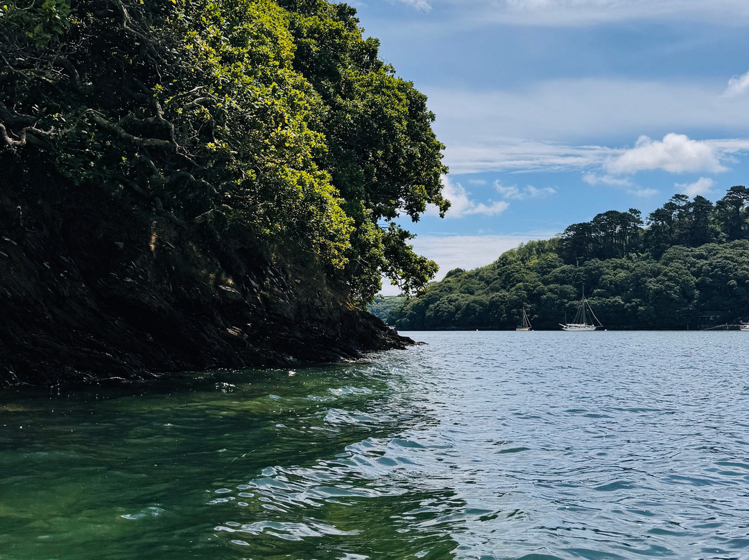 Koru Kayaking-St Agnes必去景点