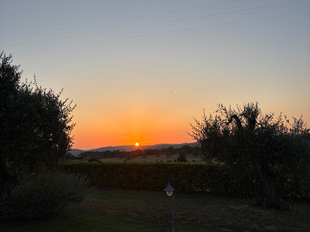 Agriturismo La Dependance主图