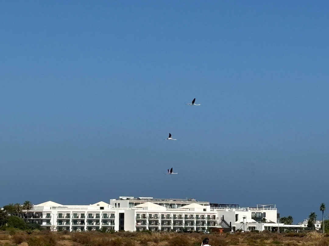 Stallerbike-Paderne必去景点