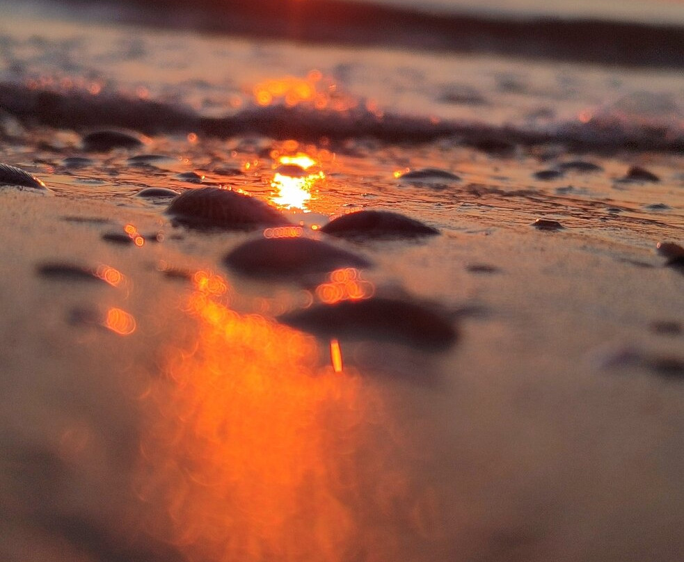 Bagni Gisella e Ivano 111-塞尼加利亚必去景点