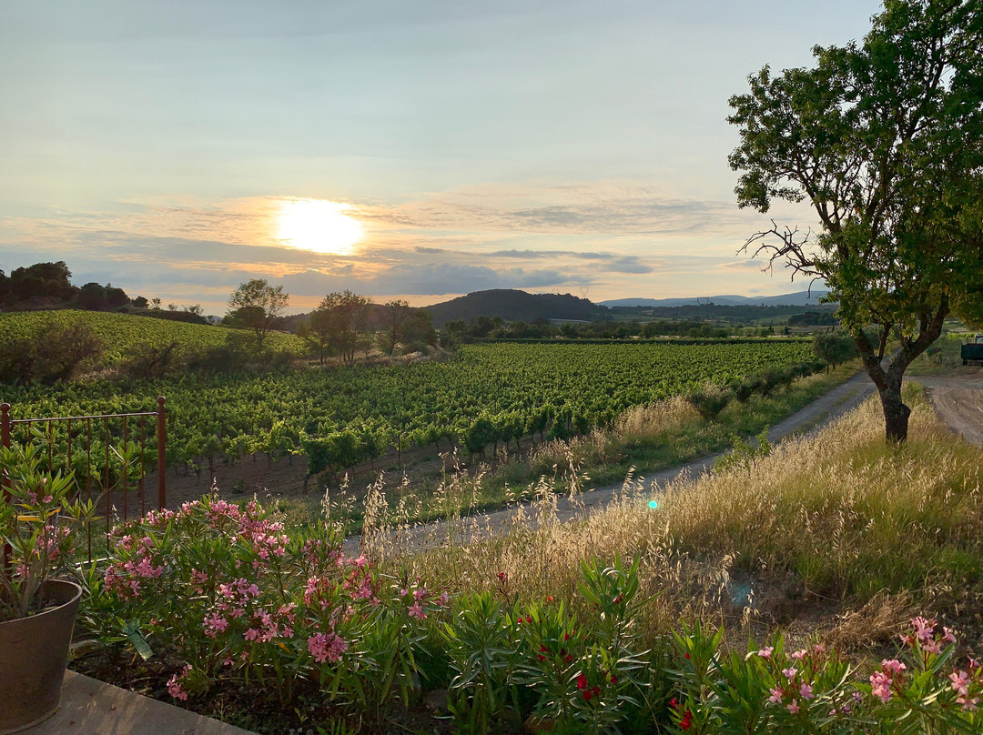 Domaine Saint-antoine