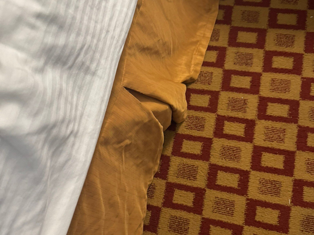 La Quinta Inn & Suites by Wyndham Alice主图