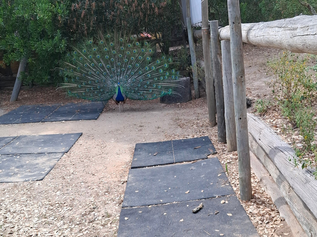 Monte Selvagem-Lavre必去景点