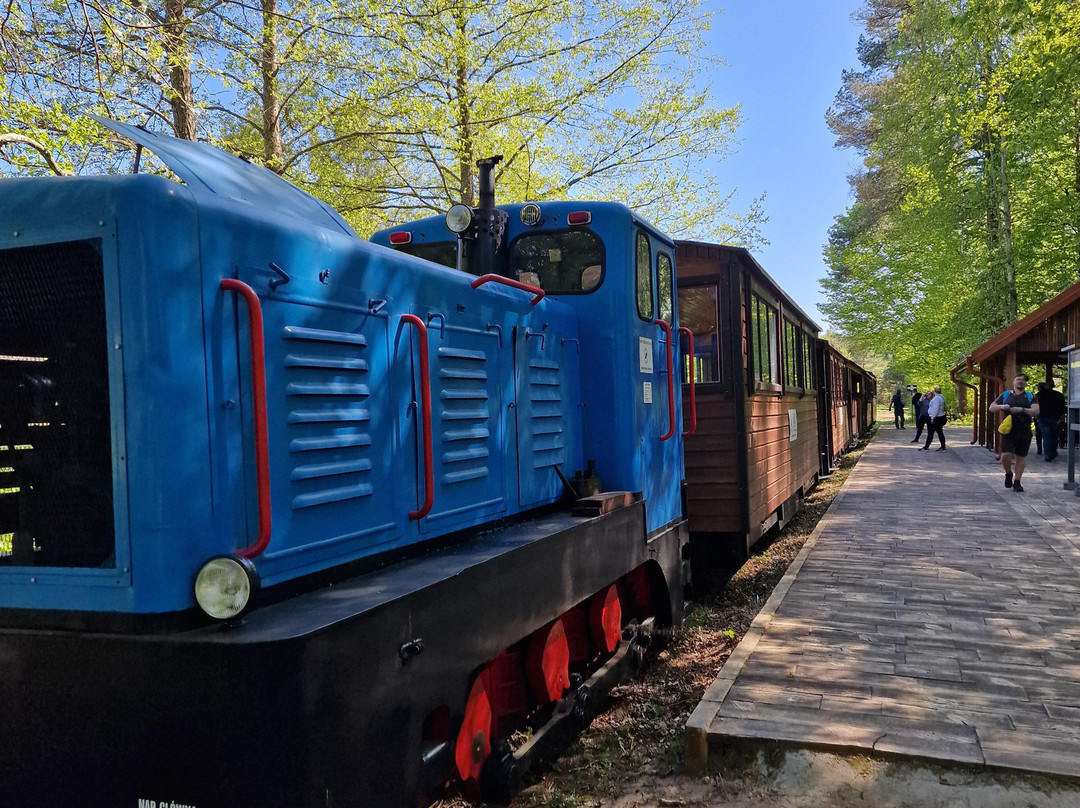 Narrow Gauge Forest Railways-Hajnowka必去景点