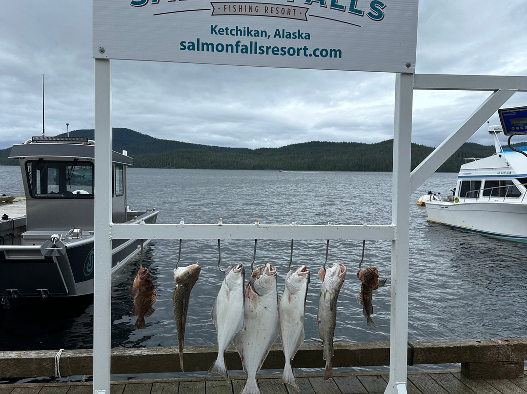 Salmon Falls Resort主图