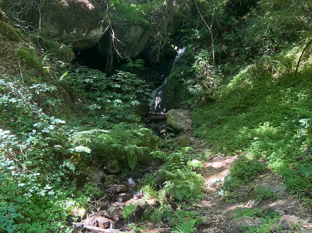 Passadiços Do Mondego-Videmonte必去景点