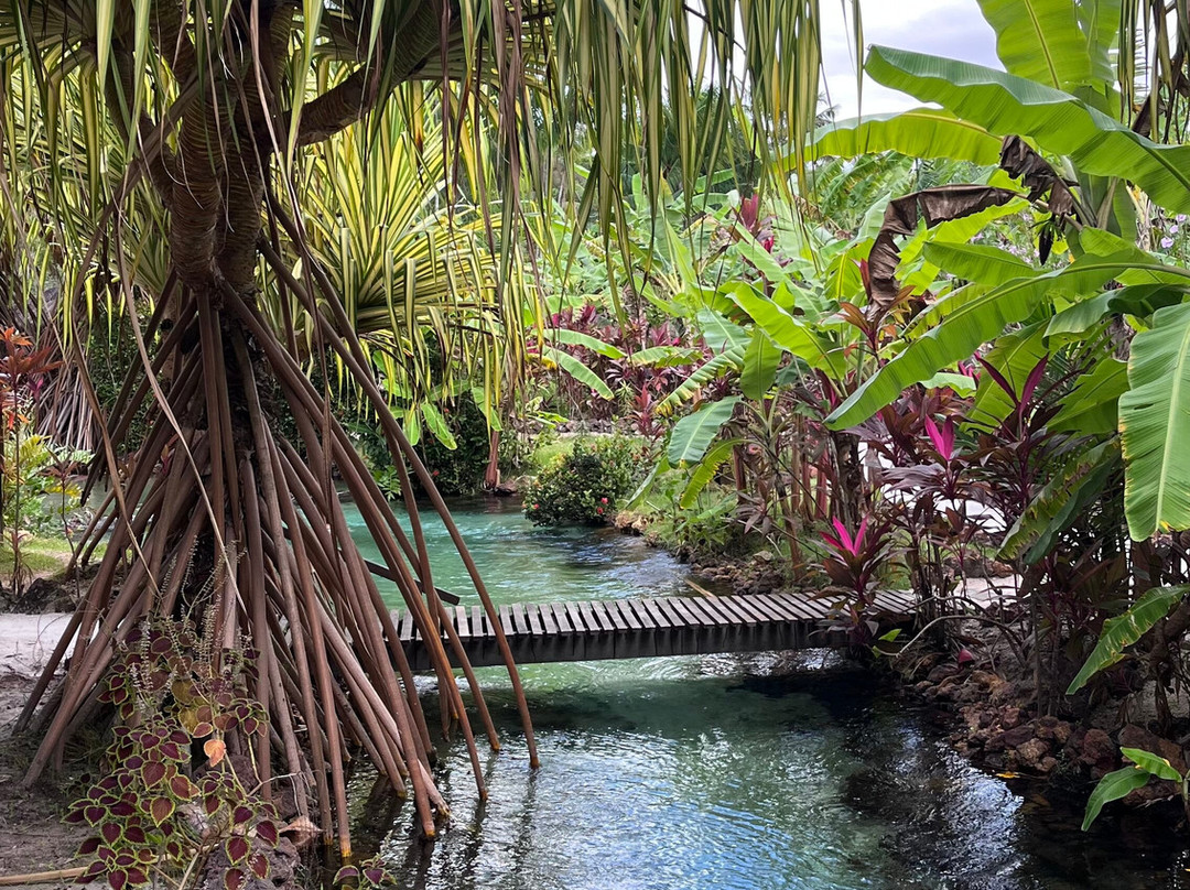 Tao Paradise-Pureza必去景点