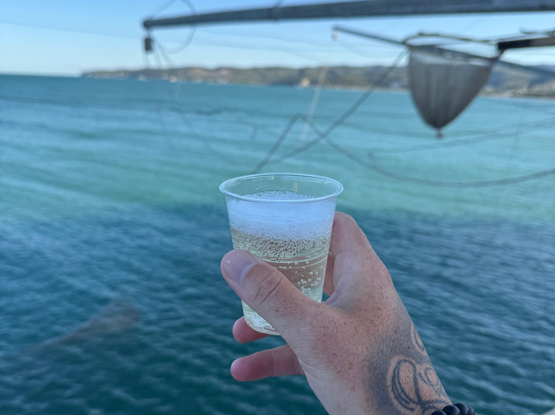 Trabucco Di Punta San Francesco-维耶斯泰必去景点
