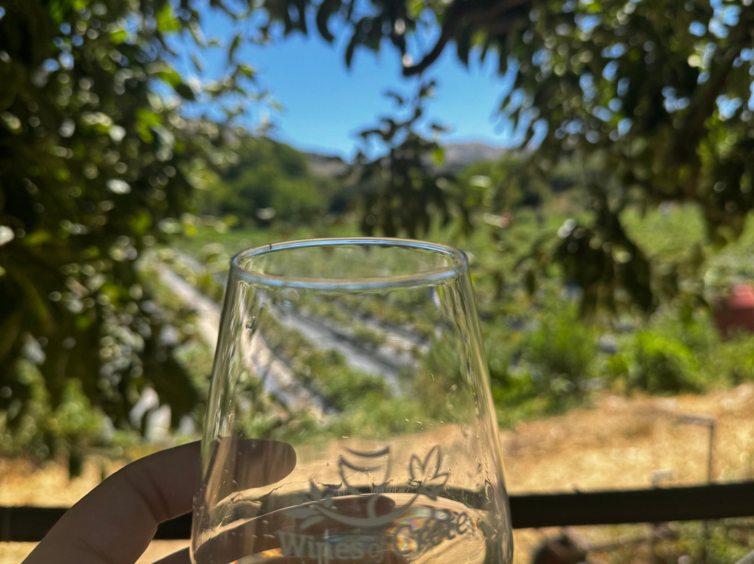 Explore Real Crete Tours-伊拉克利翁必去景点