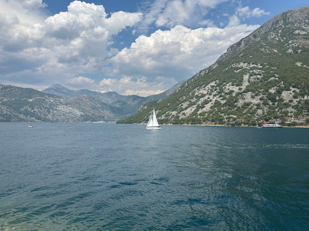 Tuk Tuk Montenegro-科托尔必去景点