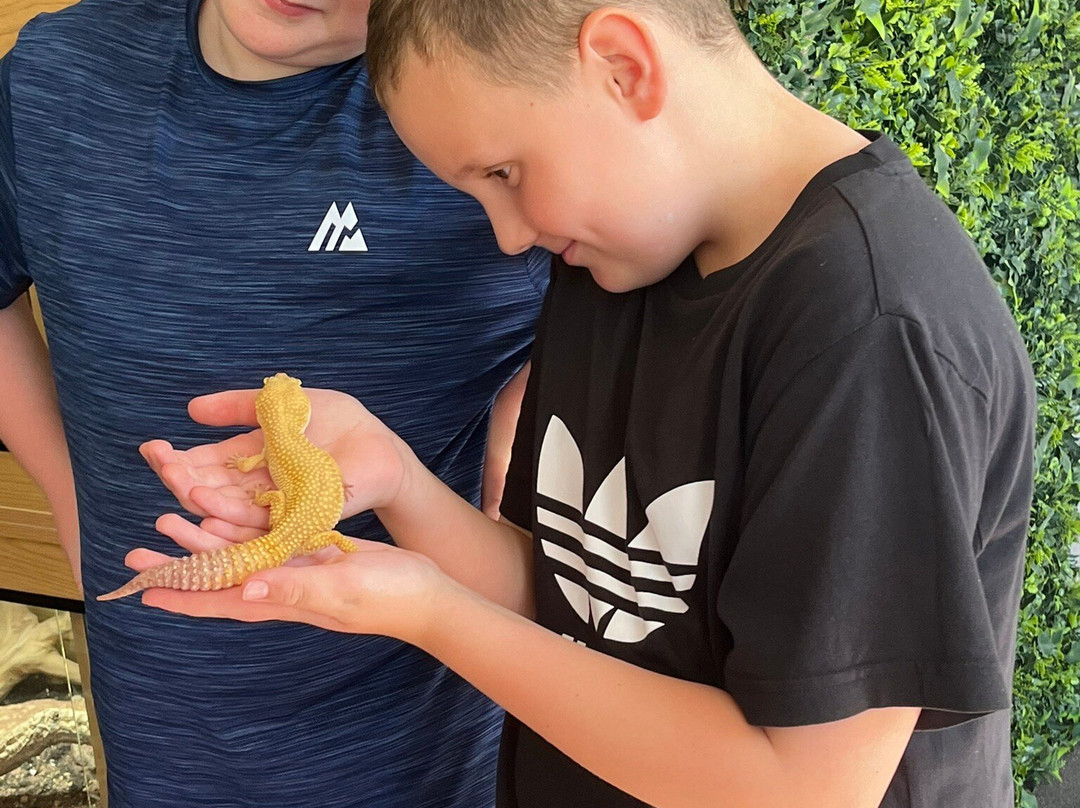 Reptile Encounters Scotland Ltd-Stevenston必去景点