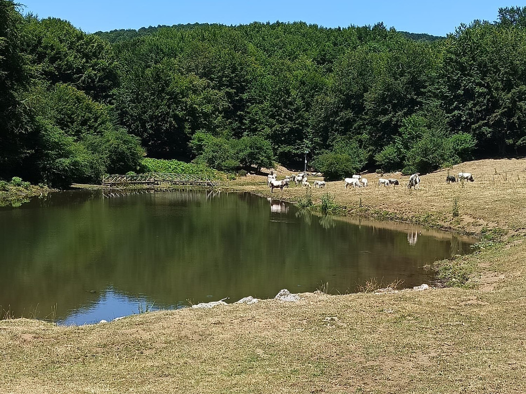 Cartotrekking-阿杰罗拉必去景点