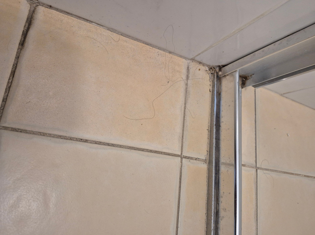 阿米代尔汽车旅馆主图