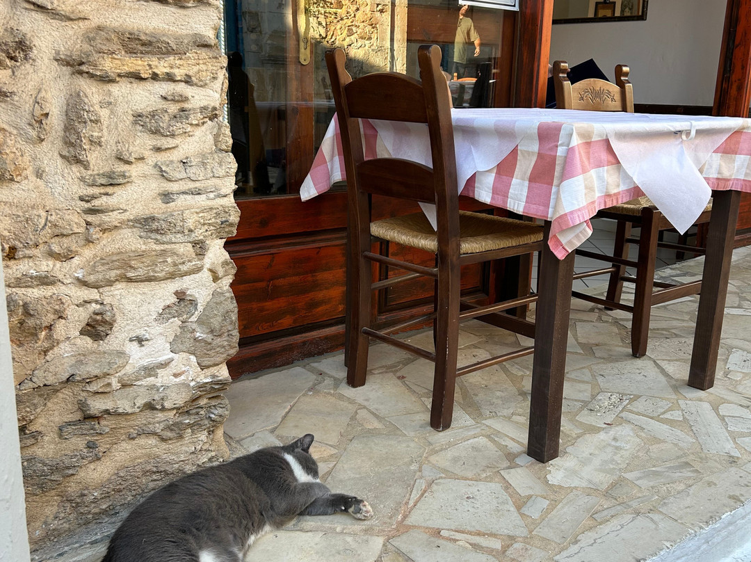 Panormo Beach Hotel主图